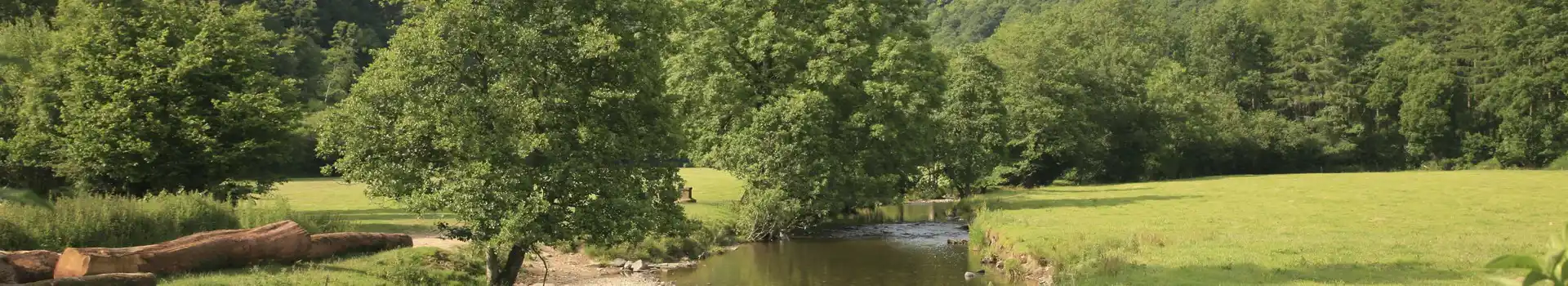 River Exe near Dulverton