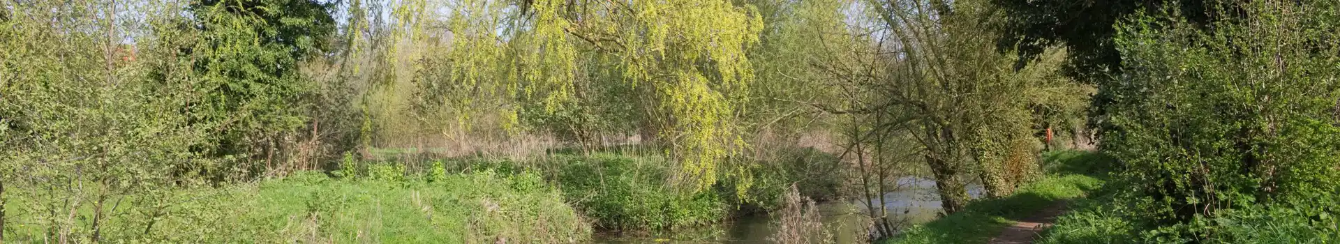 Halesworth campsites