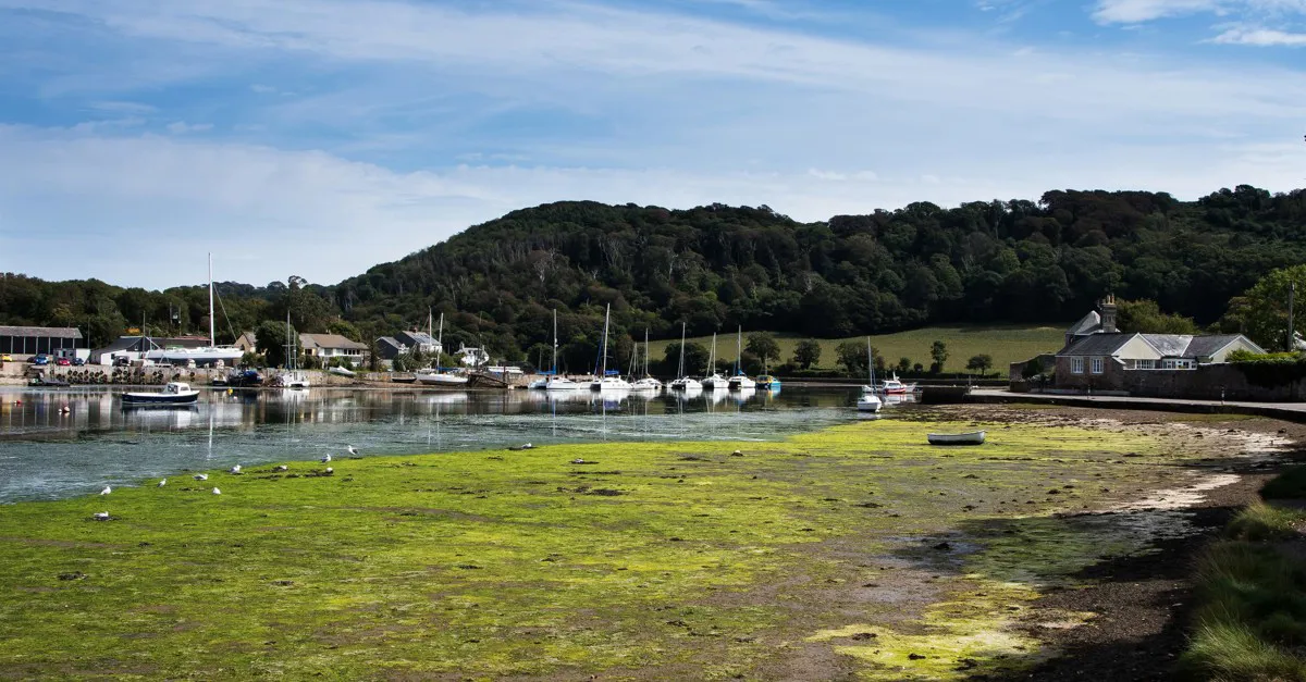 15+ Torpoint campsites - Best camping in Torpoint, Cornwall