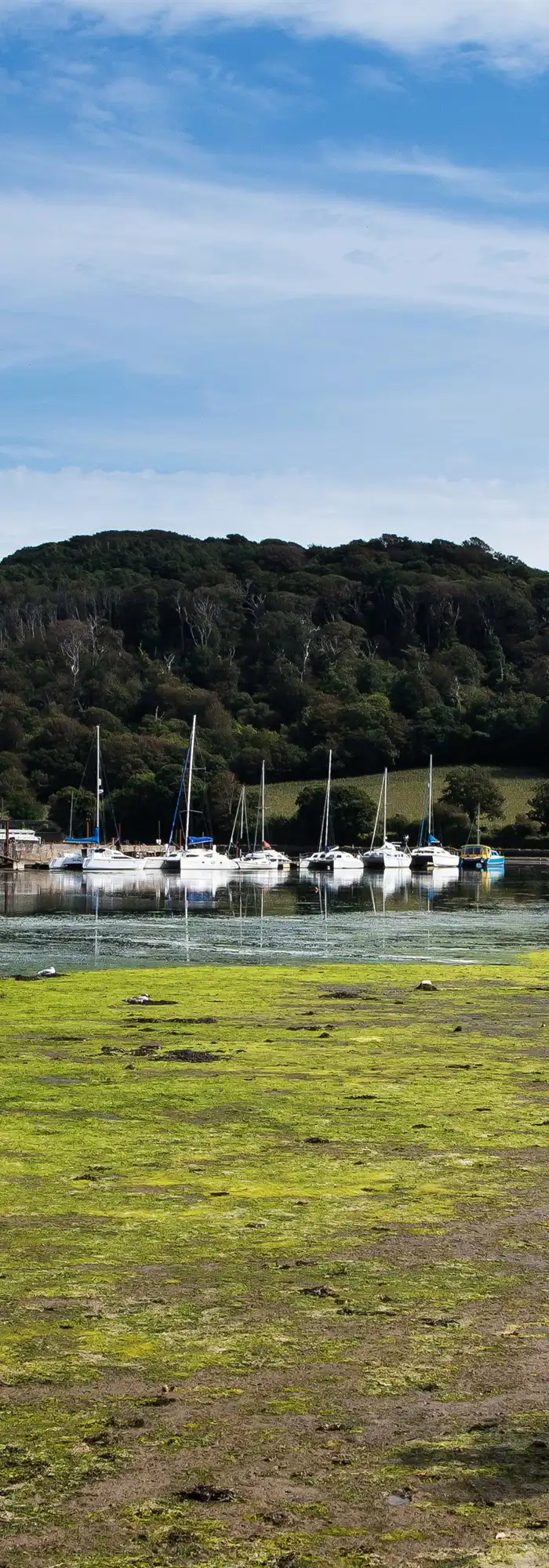 15+ Torpoint campsites - Best camping in Torpoint, Cornwall