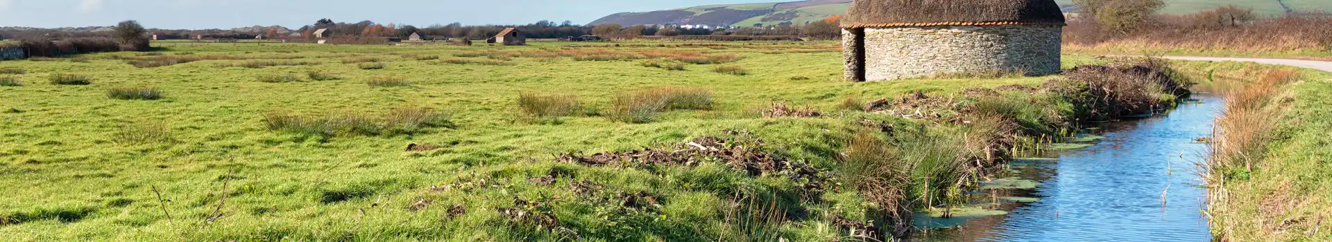 Thatched linhay on Braunton Marshes