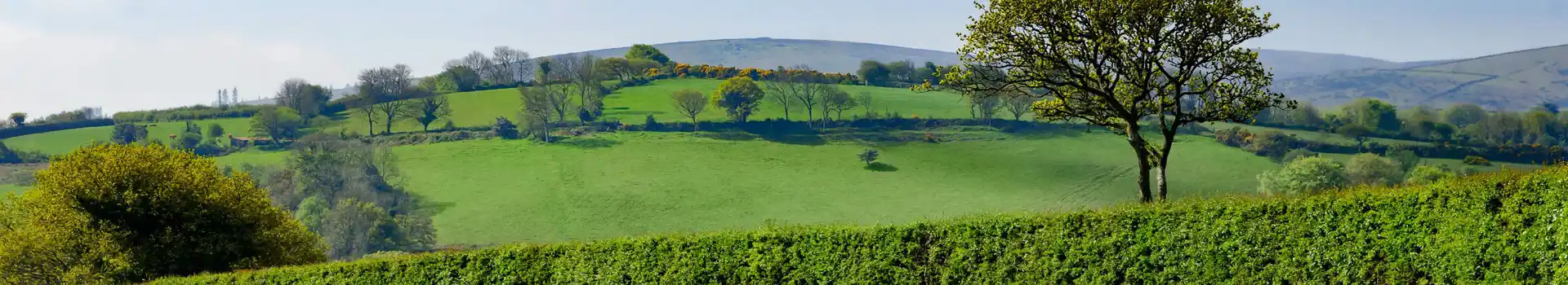Ivybridge campsites