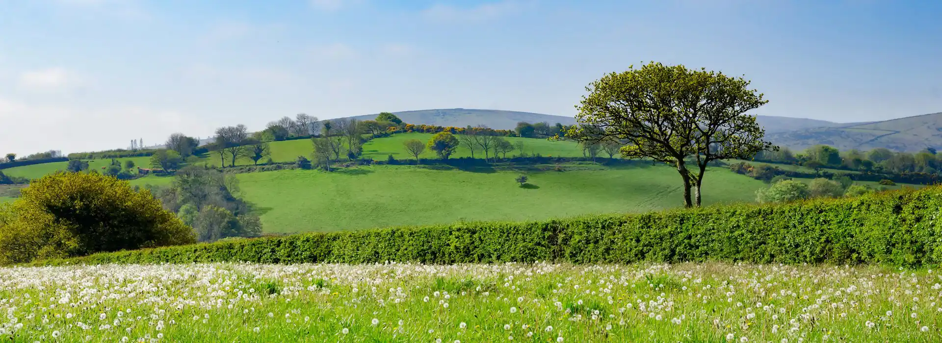 Ivybridge campsites