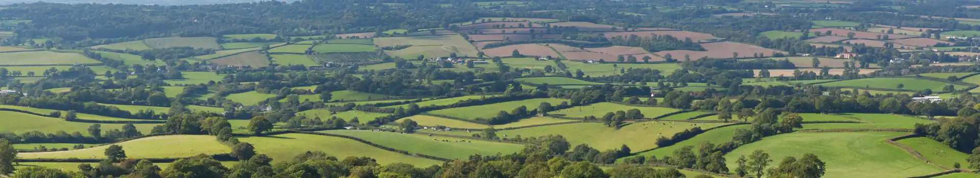 Ottery St Mary campsites