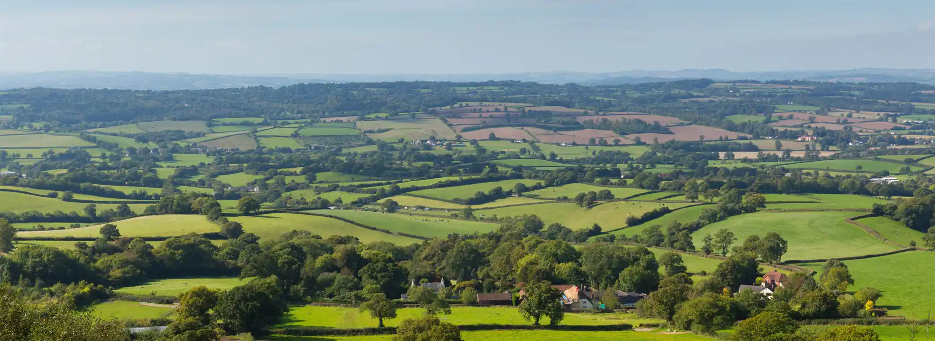 Ottery St Mary campsites