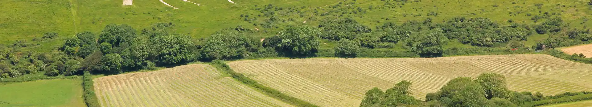 Osmington campsites