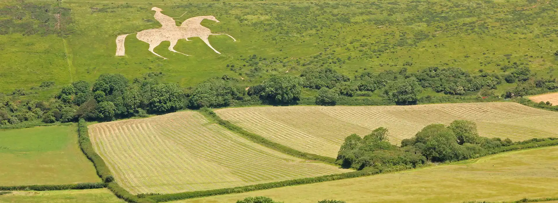 Osmington campsites