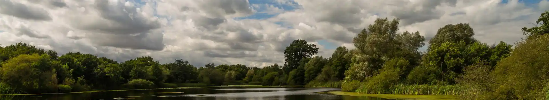 Verwood campsites