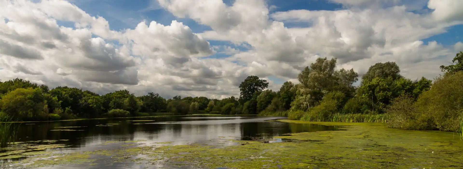 Verwood campsites