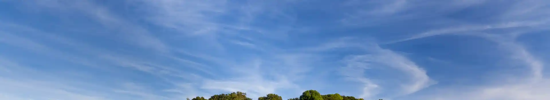 Ferndown campsites