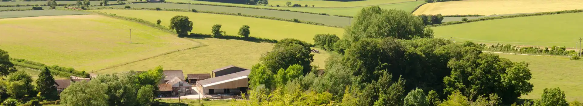 Tarrant Hinton campsites