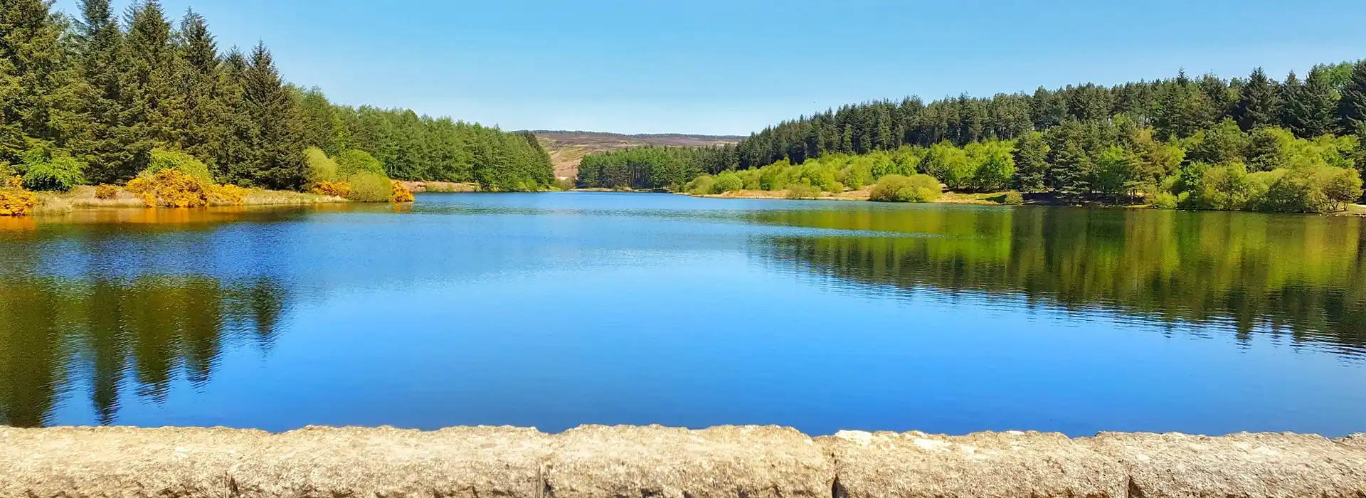 Osmotherley campsites Osmotherley campsites