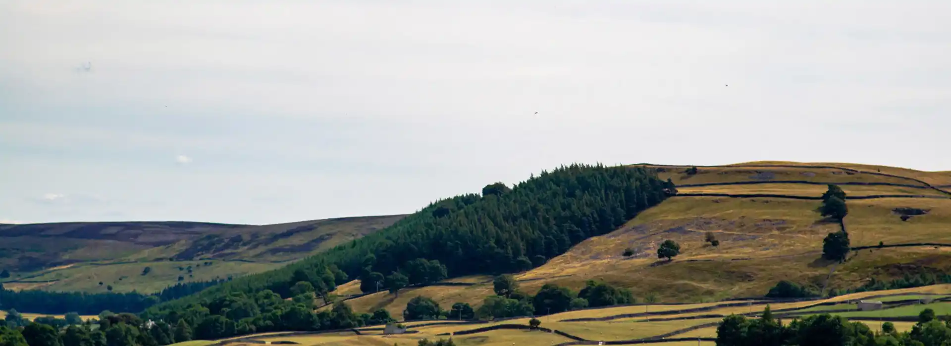 Reeth campsites