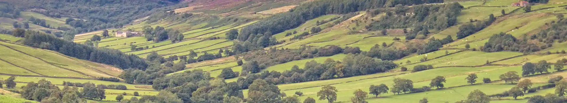 Rosedale Abbey campsites