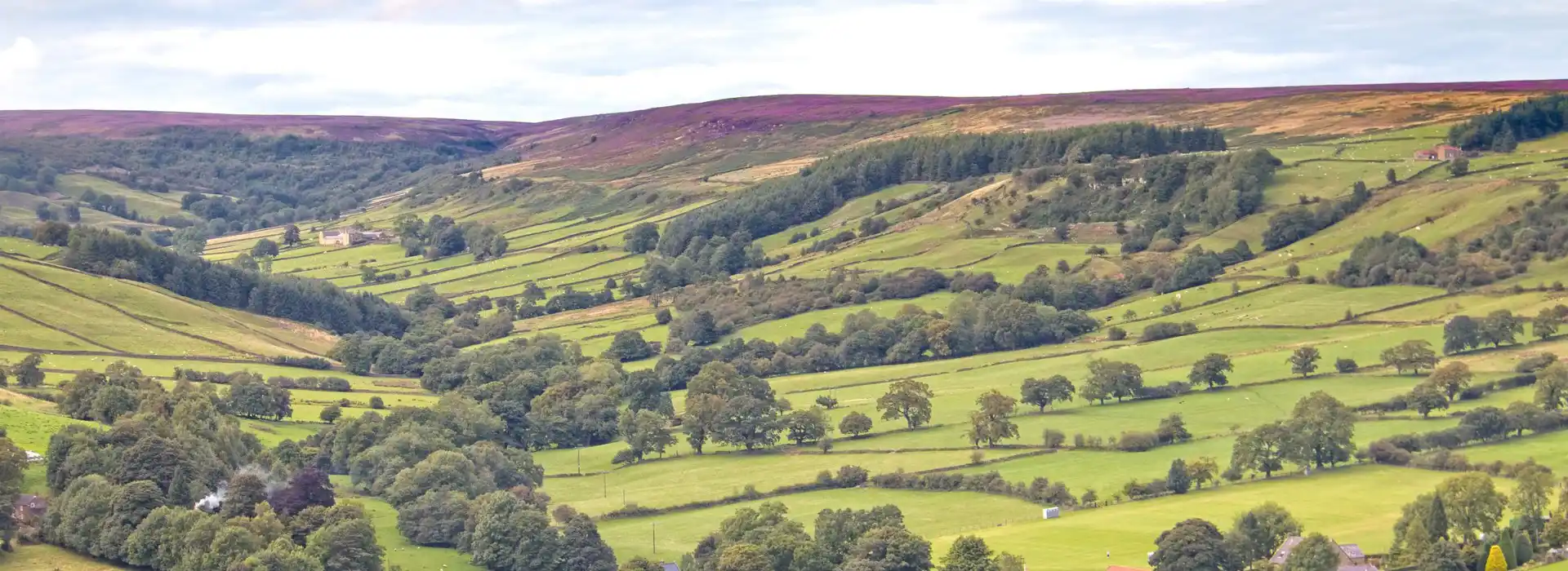 Rosedale Abbey campsites