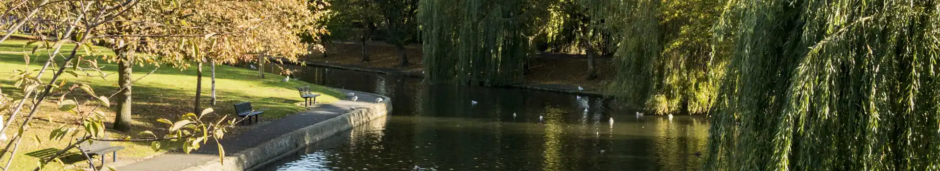 Hythe campsites
