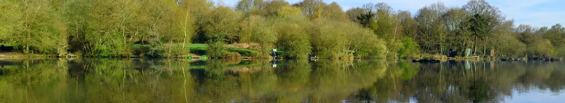 Borehamwood campsites