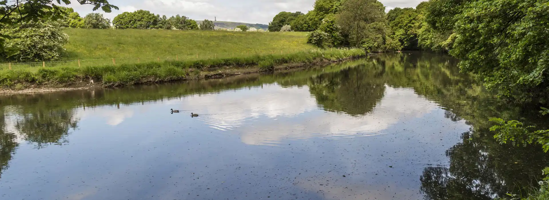 Bury campsites