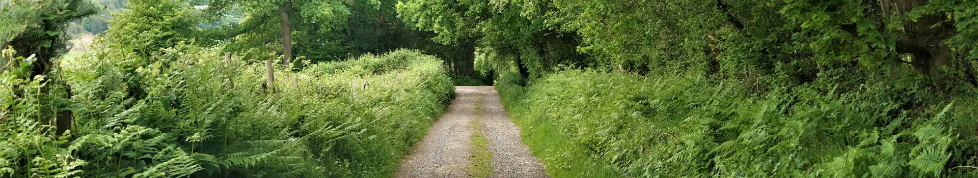 Crowborough