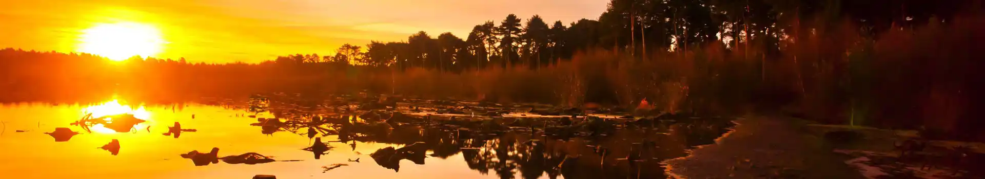 Sunrise, Delamere Forest