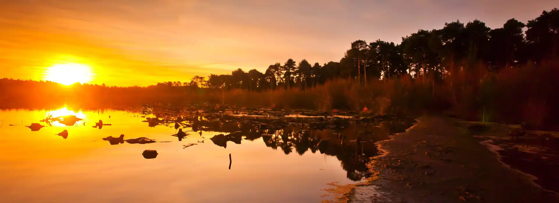 Sunrise, Delamere Forest