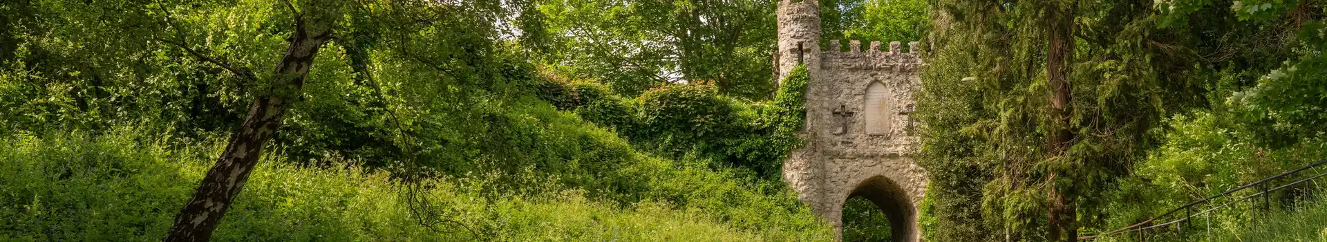 Reigate campsites