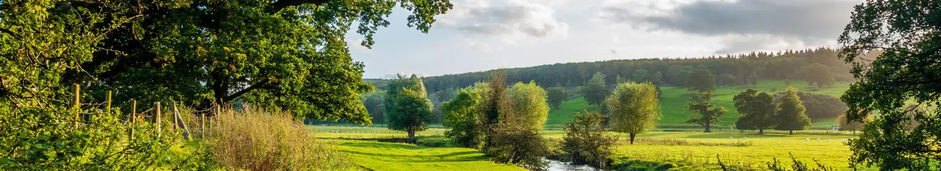 Ruthin campsites