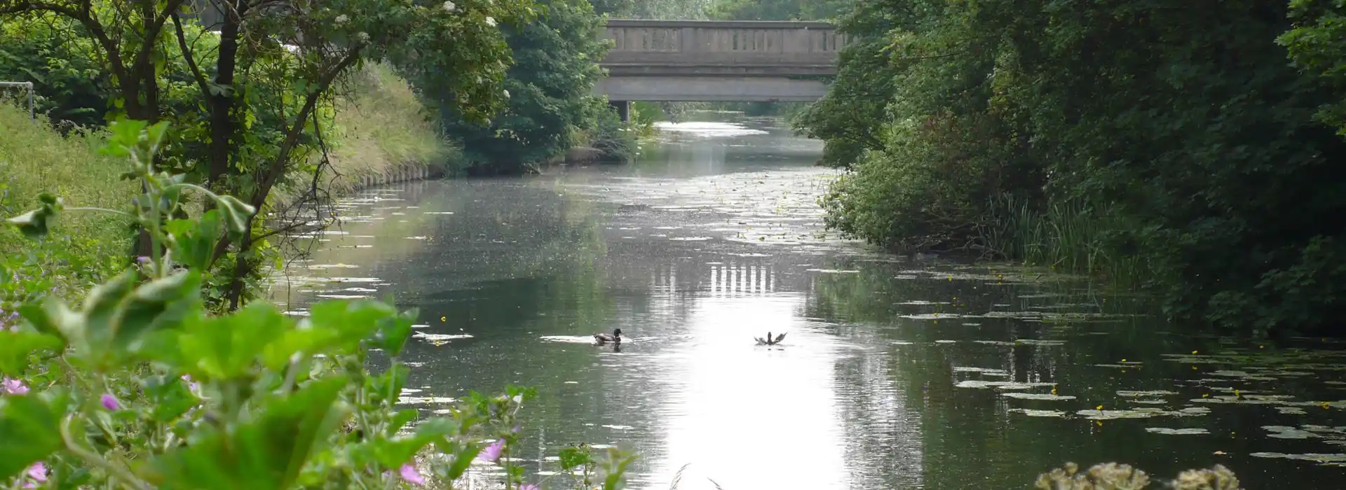 Stowmarket campsites