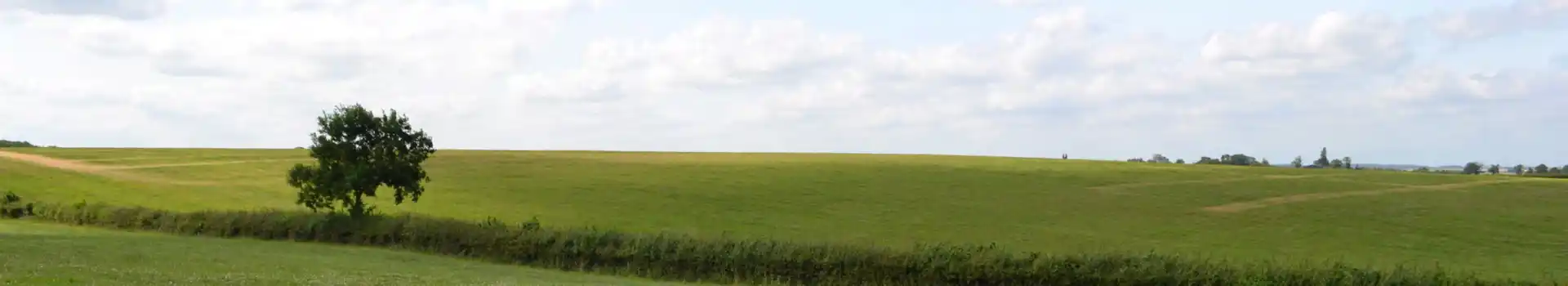 Towcester campsites