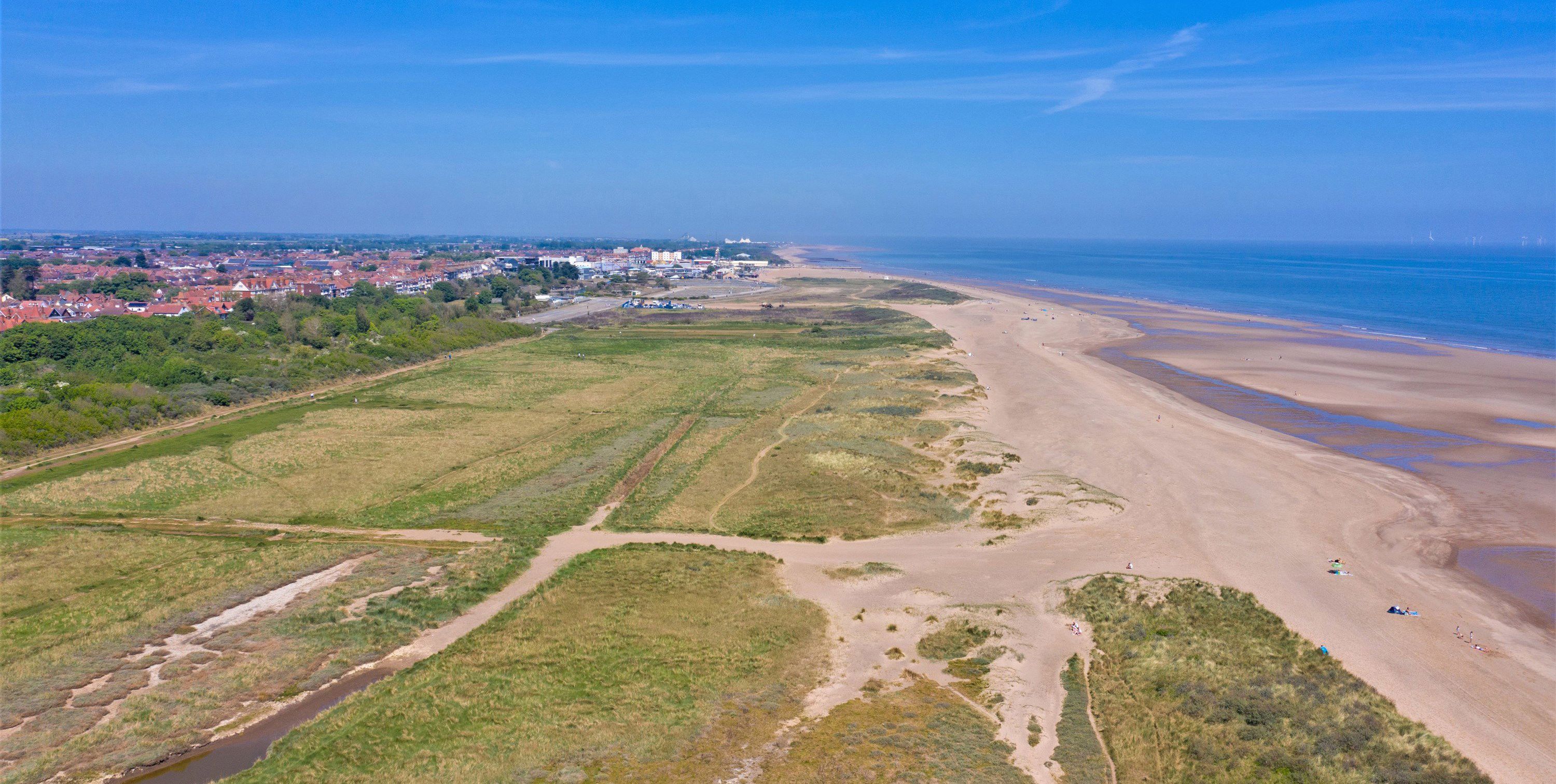 Is Ingoldmells Beach Dog Friendly