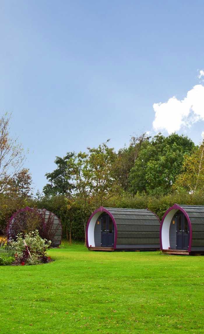 Glamping and camping pods in York 10+ sites