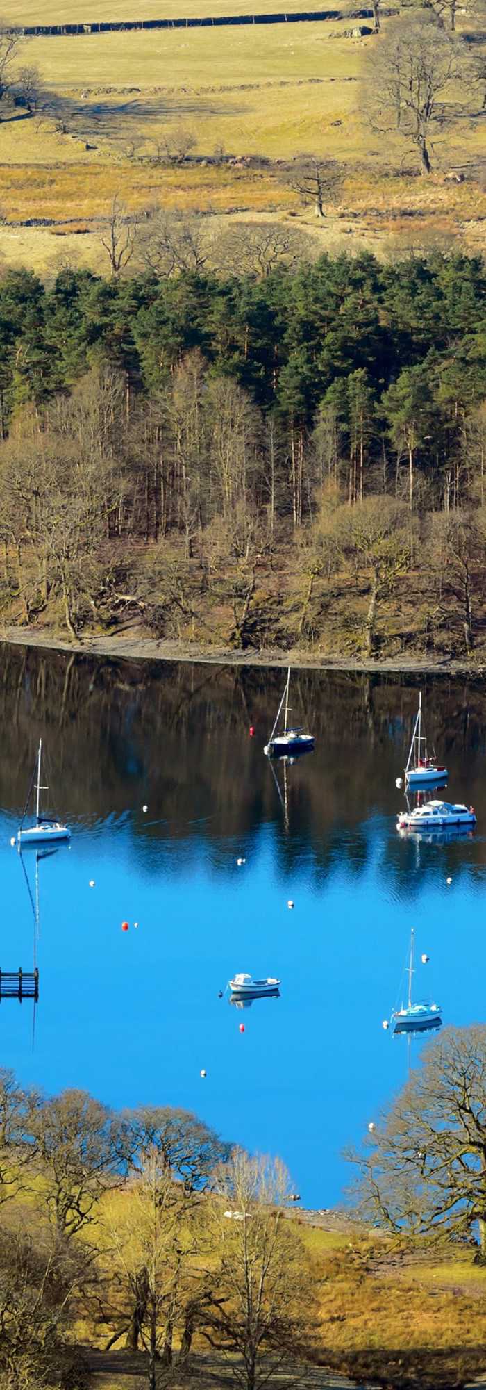 Glamping pods and camping pods in Windermere