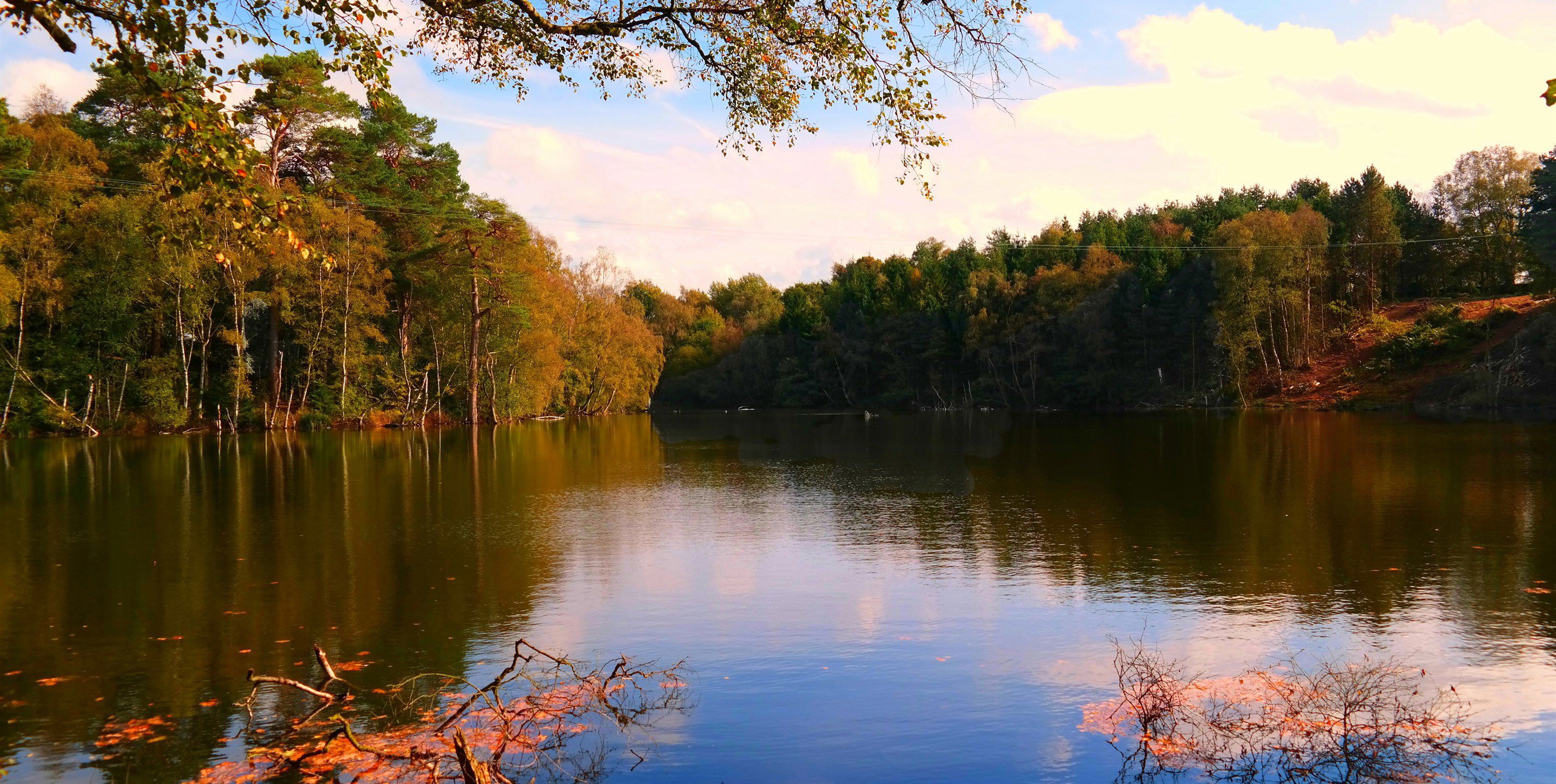 30+ campsites near Delamere Forest