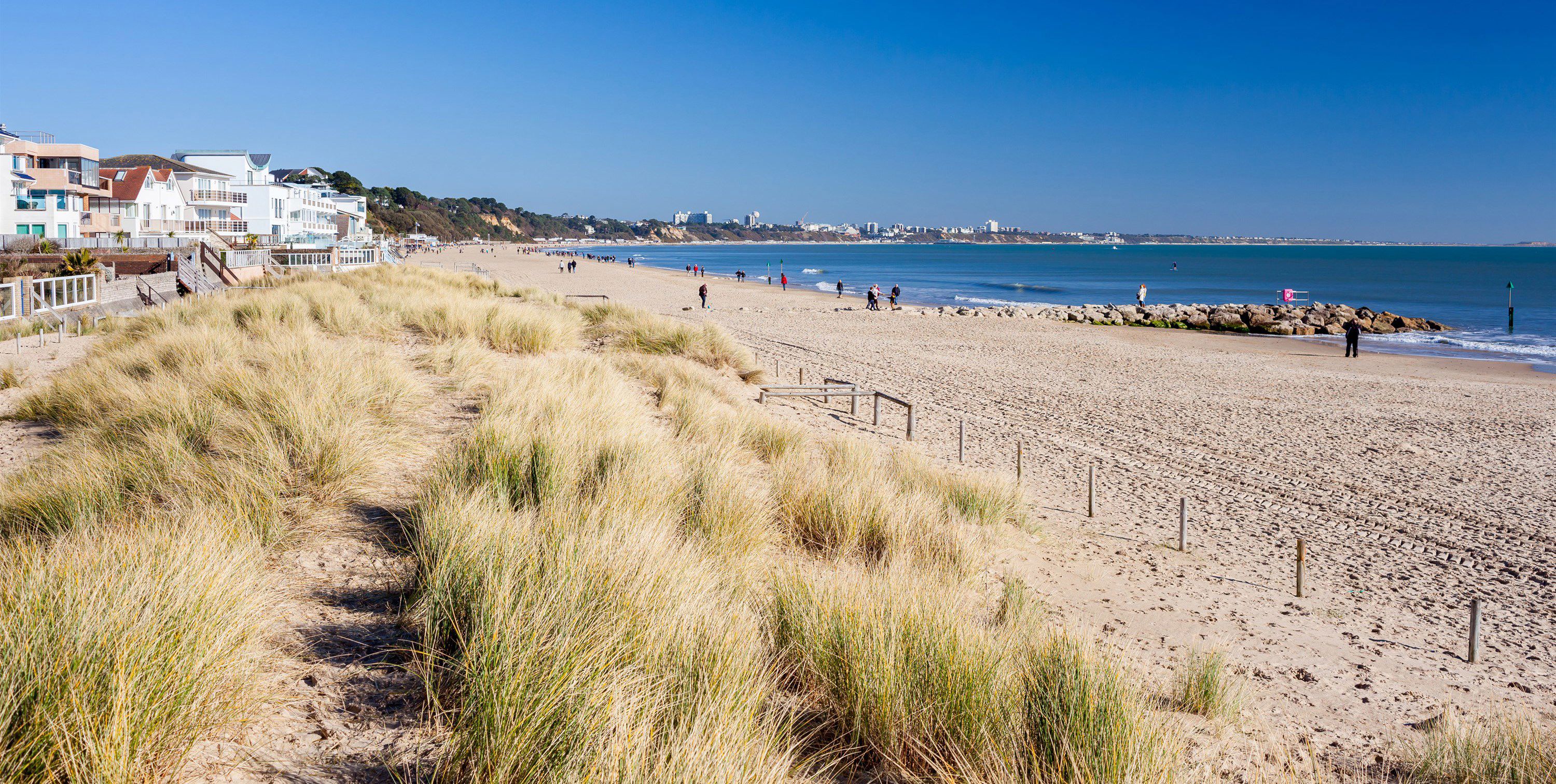 40+ Sandbanks campsites Best camping in Sandbanks, Dorset