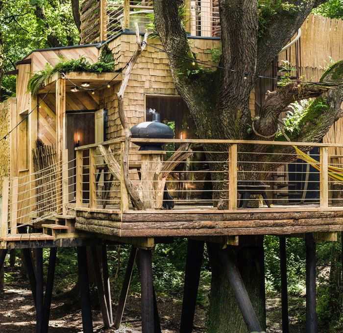 Treehouse holidays in Dorset try unique glamping luxury!