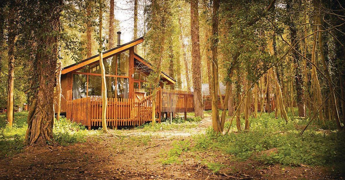 Thetford Glamping The Top Glamping Sites In Thetford Norfolk