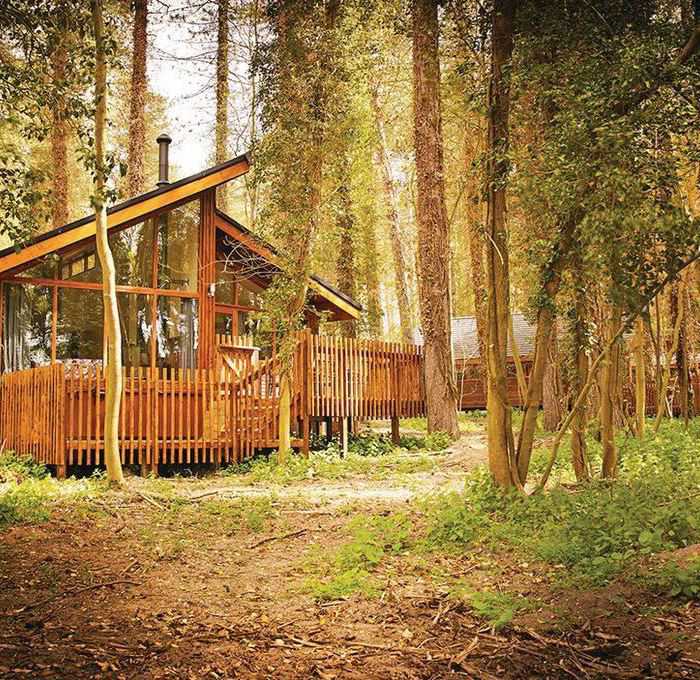 Thetford Glamping The Top Glamping Sites In Thetford Norfolk