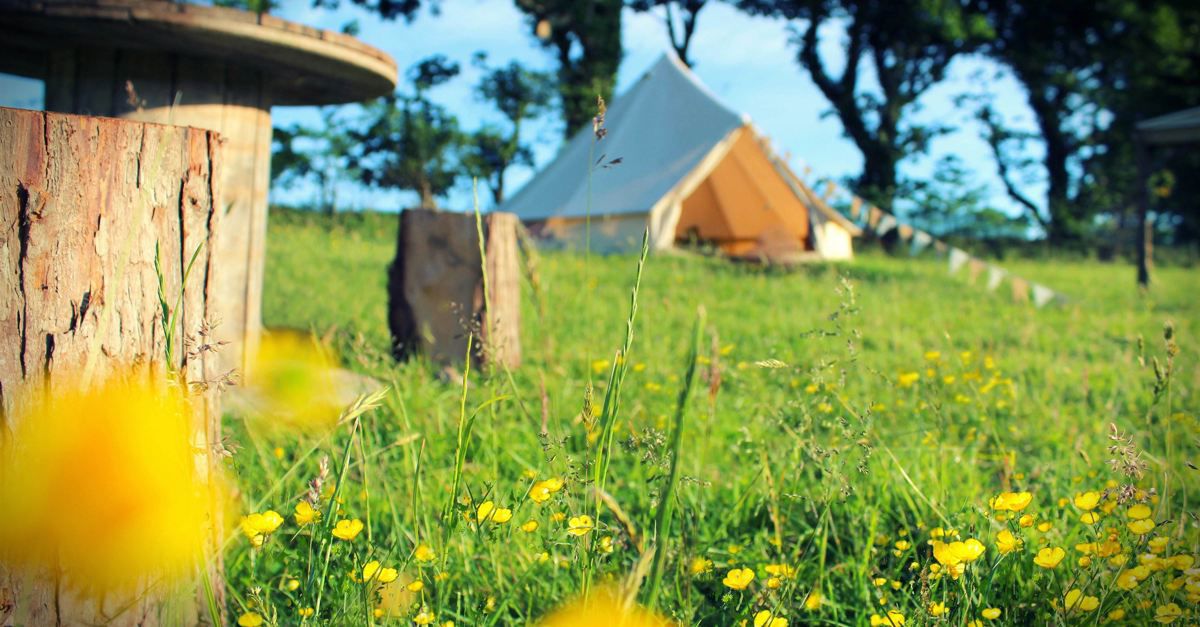 200-eco-friendly-campsites