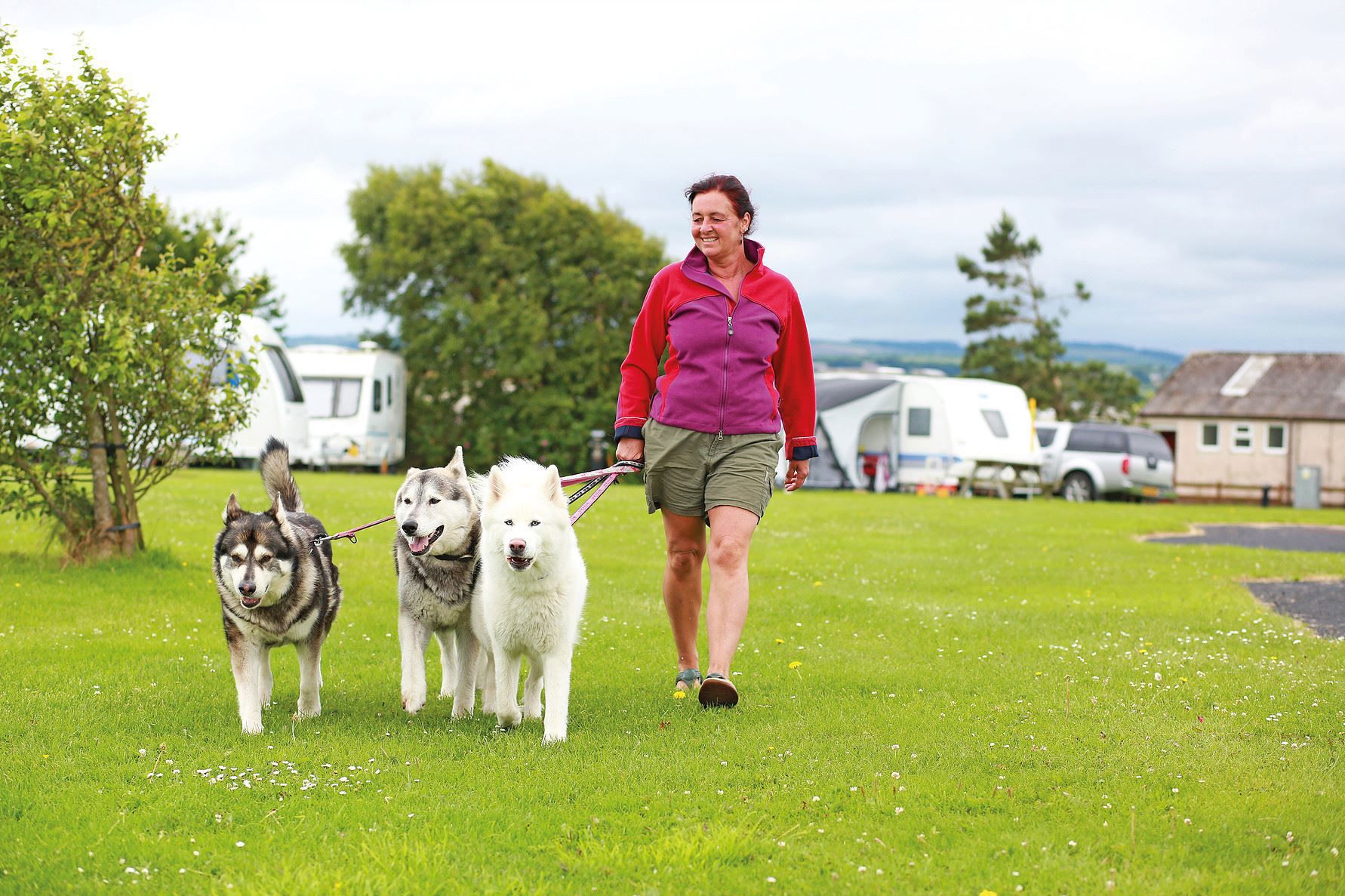 Silloth caravan parks find the top sites in Silloth, Cumbria