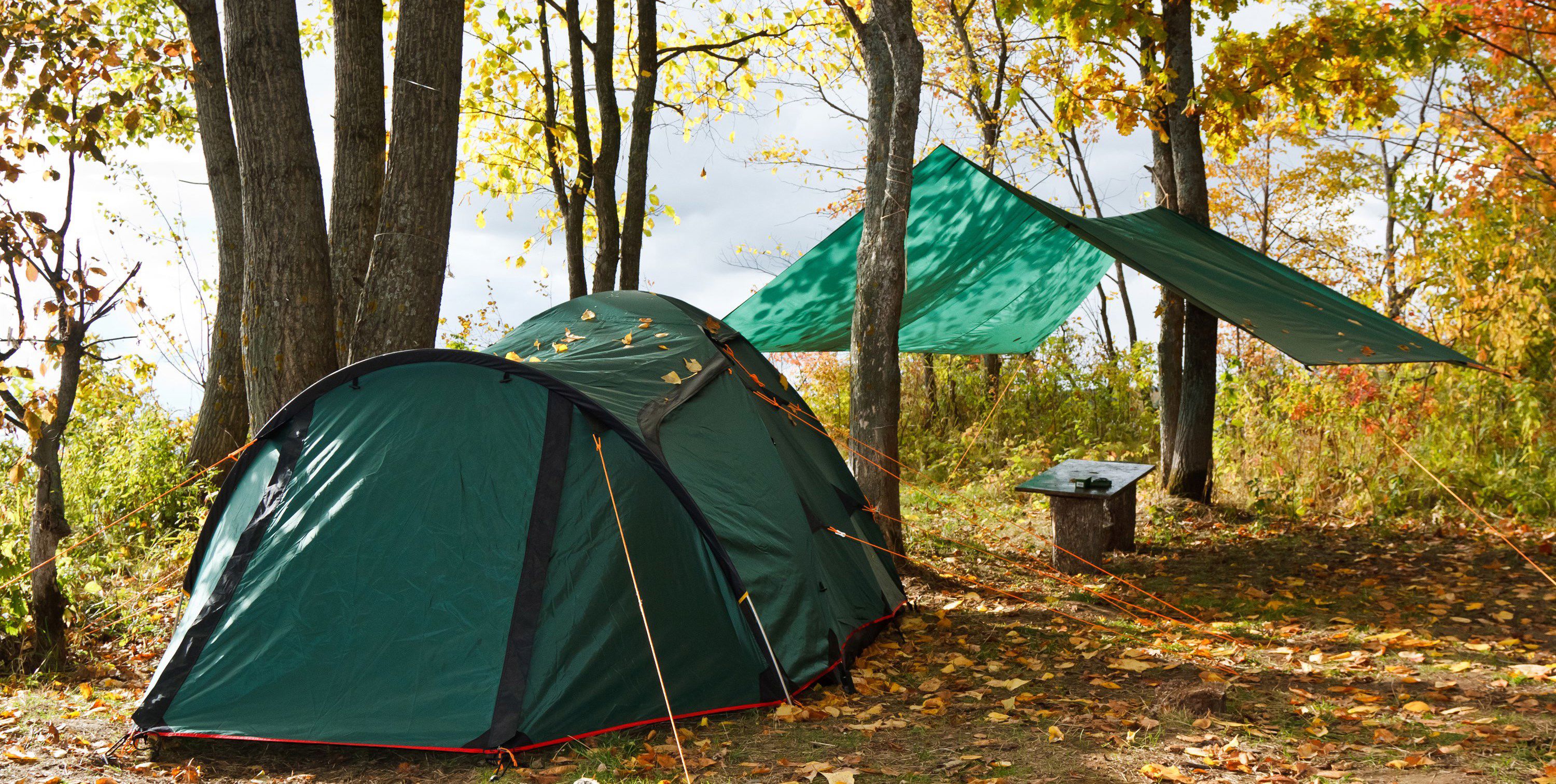 Camping forest outlet near me