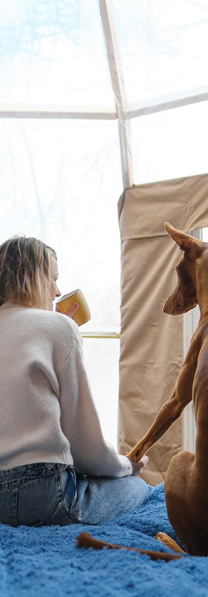 Dog friendly glamping holidays near me