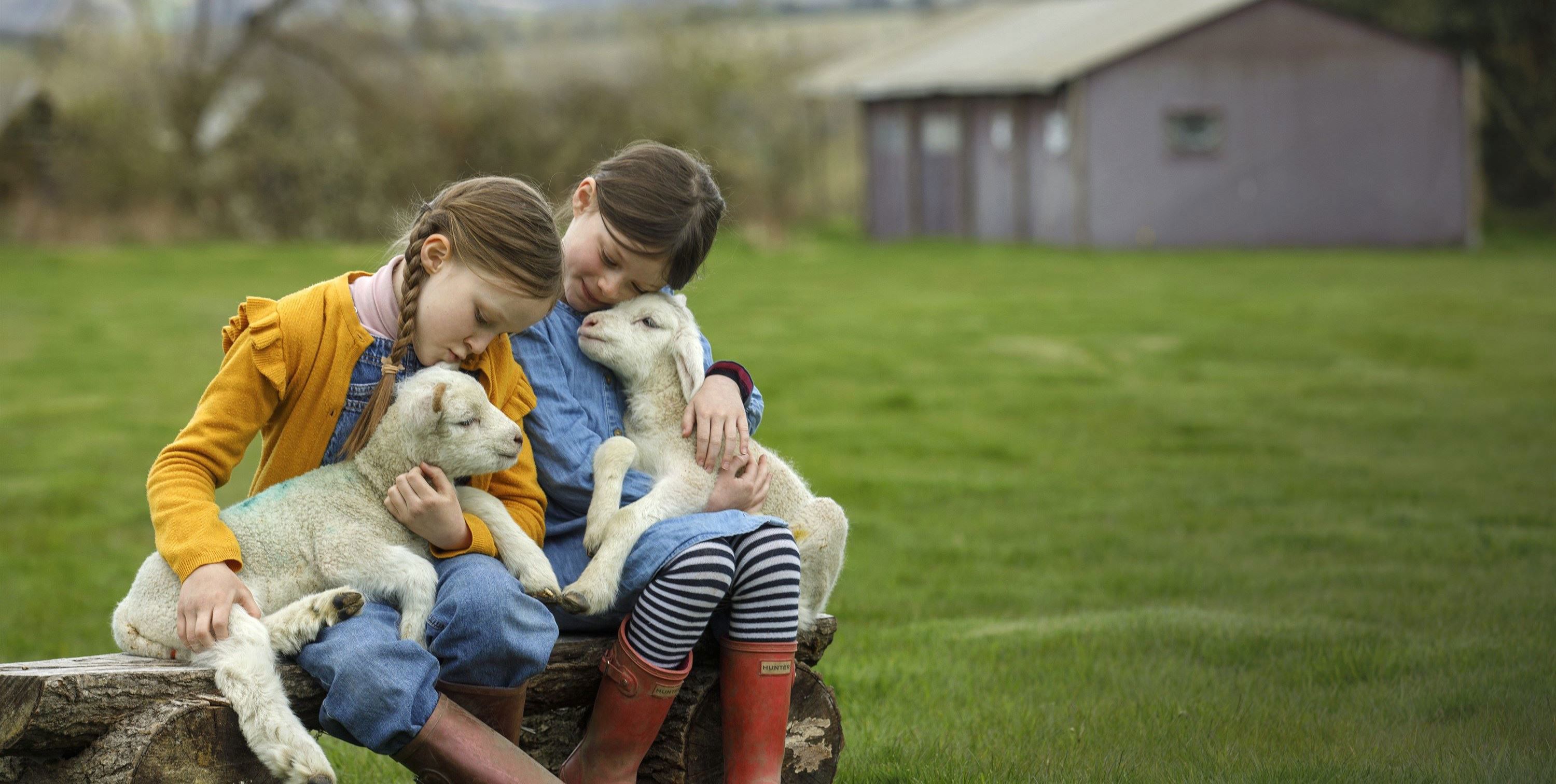 Farm Campsites Near Me