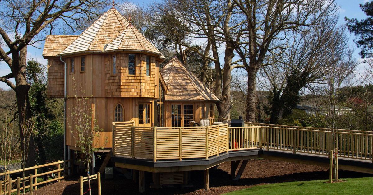 1 treehouse holidays in the New Forest