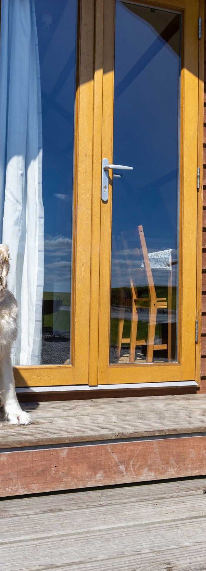 90+ Dog friendly camping pods in Scotland at Campsites.co.uk