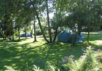 Forest Gate In Gloucester Gloucestershire