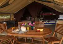 Verwood New Forest Camping And Caravanning Club Site In Wimborne Dorset