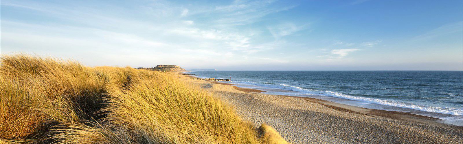 Is Hengistbury Head Beach Dog Friendly