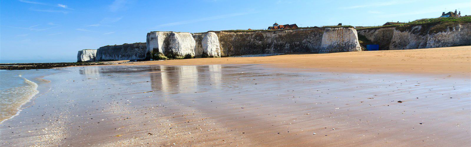 What Beaches Allow Dogs In