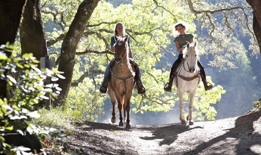 Where to go horse riding in Devon