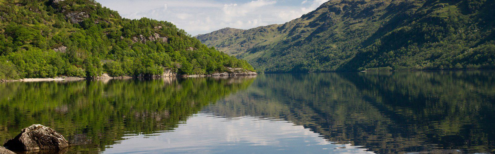 Loch Lomond Bird of Prey Centre — See Loch Lomond :: What to do in Loch  Lomond and Trossachs